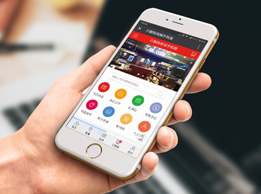 分銷商城開發設計